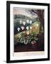 Thornton: Cyclamen-William Elmes-Framed Giclee Print