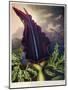 Thornton: Dragon Arum-William Ward-Mounted Giclee Print