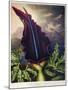 Thornton: Dragon Arum-William Ward-Mounted Giclee Print