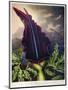 Thornton: Dragon Arum-William Ward-Mounted Giclee Print