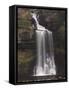 Thornton Force, Ingleton Waterfalls Walk, Yorkshire Dales National Park, Yorkshire, England-Neale Clarke-Framed Stretched Canvas