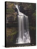 Thornton Force, Ingleton Waterfalls Walk, Yorkshire Dales National Park, Yorkshire, England-Neale Clarke-Stretched Canvas