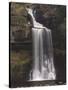 Thornton Force, Ingleton Waterfalls Walk, Yorkshire Dales National Park, Yorkshire, England-Neale Clarke-Stretched Canvas