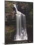 Thornton Force, Ingleton Waterfalls Walk, Yorkshire Dales National Park, Yorkshire, England-Neale Clarke-Mounted Photographic Print