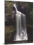 Thornton Force, Ingleton Waterfalls Walk, Yorkshire Dales National Park, Yorkshire, England-Neale Clarke-Mounted Photographic Print