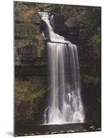 Thornton Force, Ingleton Waterfalls Walk, Yorkshire Dales National Park, Yorkshire, England-Neale Clarke-Mounted Photographic Print