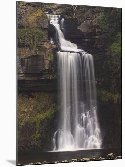 Thornton Force, Ingleton Waterfalls Walk, Yorkshire Dales National Park, Yorkshire, England-Neale Clarke-Mounted Photographic Print