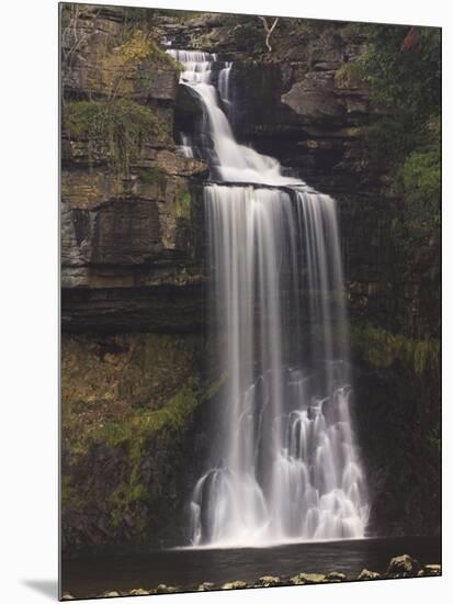 Thornton Force, Ingleton Waterfalls Walk, Yorkshire Dales National Park, Yorkshire, England-Neale Clarke-Mounted Photographic Print