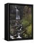 Thornton Force, Ingleton Waterfalls Walk, Yorkshire Dales National Park, Yorkshire-Neale Clarke-Framed Stretched Canvas