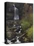 Thornton Force, Ingleton Waterfalls Walk, Yorkshire Dales National Park, Yorkshire-Neale Clarke-Stretched Canvas