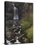 Thornton Force, Ingleton Waterfalls Walk, Yorkshire Dales National Park, Yorkshire-Neale Clarke-Stretched Canvas