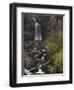 Thornton Force, Ingleton Waterfalls Walk, Yorkshire Dales National Park, Yorkshire-Neale Clarke-Framed Photographic Print