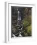 Thornton Force, Ingleton Waterfalls Walk, Yorkshire Dales National Park, Yorkshire-Neale Clarke-Framed Photographic Print