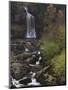 Thornton Force, Ingleton Waterfalls Walk, Yorkshire Dales National Park, Yorkshire-Neale Clarke-Mounted Photographic Print