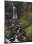 Thornton Force, Ingleton Waterfalls Walk, Yorkshire Dales National Park, Yorkshire-Neale Clarke-Mounted Photographic Print