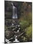 Thornton Force, Ingleton Waterfalls Walk, Yorkshire Dales National Park, Yorkshire-Neale Clarke-Mounted Photographic Print