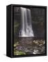 Thornton Force, Ingleton Waterfalls Walk, Yorkshire Dales National Park, Yorkshire-Neale Clarke-Framed Stretched Canvas