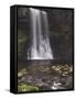 Thornton Force, Ingleton Waterfalls Walk, Yorkshire Dales National Park, Yorkshire-Neale Clarke-Framed Stretched Canvas