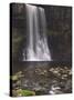 Thornton Force, Ingleton Waterfalls Walk, Yorkshire Dales National Park, Yorkshire-Neale Clarke-Stretched Canvas