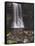 Thornton Force, Ingleton Waterfalls Walk, Yorkshire Dales National Park, Yorkshire-Neale Clarke-Framed Stretched Canvas