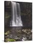 Thornton Force, Ingleton Waterfalls Walk, Yorkshire Dales National Park, Yorkshire-Neale Clarke-Stretched Canvas