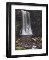 Thornton Force, Ingleton Waterfalls Walk, Yorkshire Dales National Park, Yorkshire-Neale Clarke-Framed Photographic Print