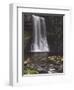 Thornton Force, Ingleton Waterfalls Walk, Yorkshire Dales National Park, Yorkshire-Neale Clarke-Framed Photographic Print