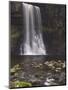 Thornton Force, Ingleton Waterfalls Walk, Yorkshire Dales National Park, Yorkshire-Neale Clarke-Mounted Photographic Print