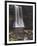 Thornton Force, Ingleton Waterfalls Walk, Yorkshire Dales National Park, Yorkshire-Neale Clarke-Framed Photographic Print