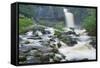 Thornton Force, Ingleton Waterfalls Walk, Yorkshire Dales National Park-Markus Lange-Framed Stretched Canvas