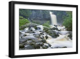 Thornton Force, Ingleton Waterfalls Walk, Yorkshire Dales National Park-Markus Lange-Framed Photographic Print