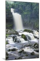Thornton Force, Ingleton Waterfalls Walk, Yorkshire Dales National Park-Markus Lange-Mounted Photographic Print