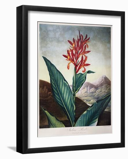 Thornton: Indian Reed-Caldwall-Framed Giclee Print