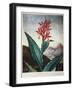 Thornton: Indian Reed-Caldwall-Framed Giclee Print