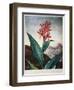 Thornton: Indian Reed-Caldwall-Framed Giclee Print