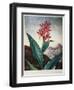 Thornton: Indian Reed-Caldwall-Framed Giclee Print