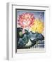 Thornton: Lotus Flower-Thomas Burke-Framed Giclee Print