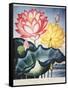 Thornton: Lotus Flower-Thomas Burke-Framed Stretched Canvas