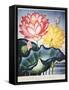 Thornton: Lotus Flower-Thomas Burke-Framed Stretched Canvas