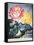 Thornton: Lotus Flower-Thomas Burke-Framed Stretched Canvas