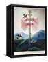 Thornton: Sensitive Plant-Joseph Constantine Stadler-Framed Stretched Canvas