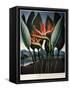 Thornton: Strelitzia-Richard Cooper the Younger-Framed Stretched Canvas