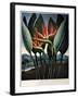 Thornton: Strelitzia-Richard Cooper the Younger-Framed Giclee Print