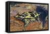 Thorny Devil or Thorny Dragon (Moloch Horridus), Agamidae-null-Framed Stretched Canvas