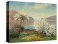 Stretched Canvas