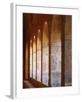 Thoronet Abbey Cloister, Thoronet, Var, Provence, France, Europe-null-Framed Photographic Print