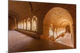 Thoronet Abbey in the Var region, Provence, France, Europe-Julian Elliott-Mounted Photographic Print