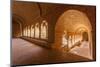 Thoronet Abbey in the Var region, Provence, France, Europe-Julian Elliott-Mounted Photographic Print