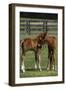 Thoroughbred 005-Bob Langrish-Framed Photographic Print