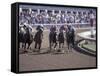 Thoroughbred Horse Racing at Keenland track, Lexington, Kentucky, USA-Adam Jones-Framed Stretched Canvas